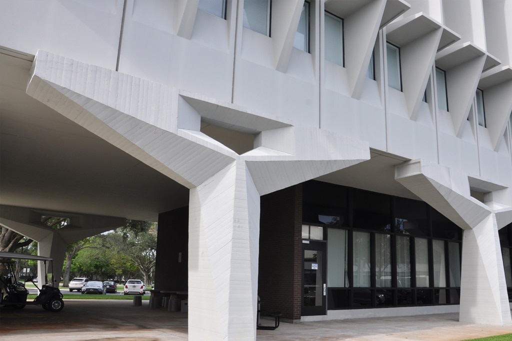 public administration consultant